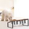 Elevated Tilted Double Stainless Steel Dog Cat Bowls, Raised Pet Food Water Feeding Stand for Small Puppies & Kittens
